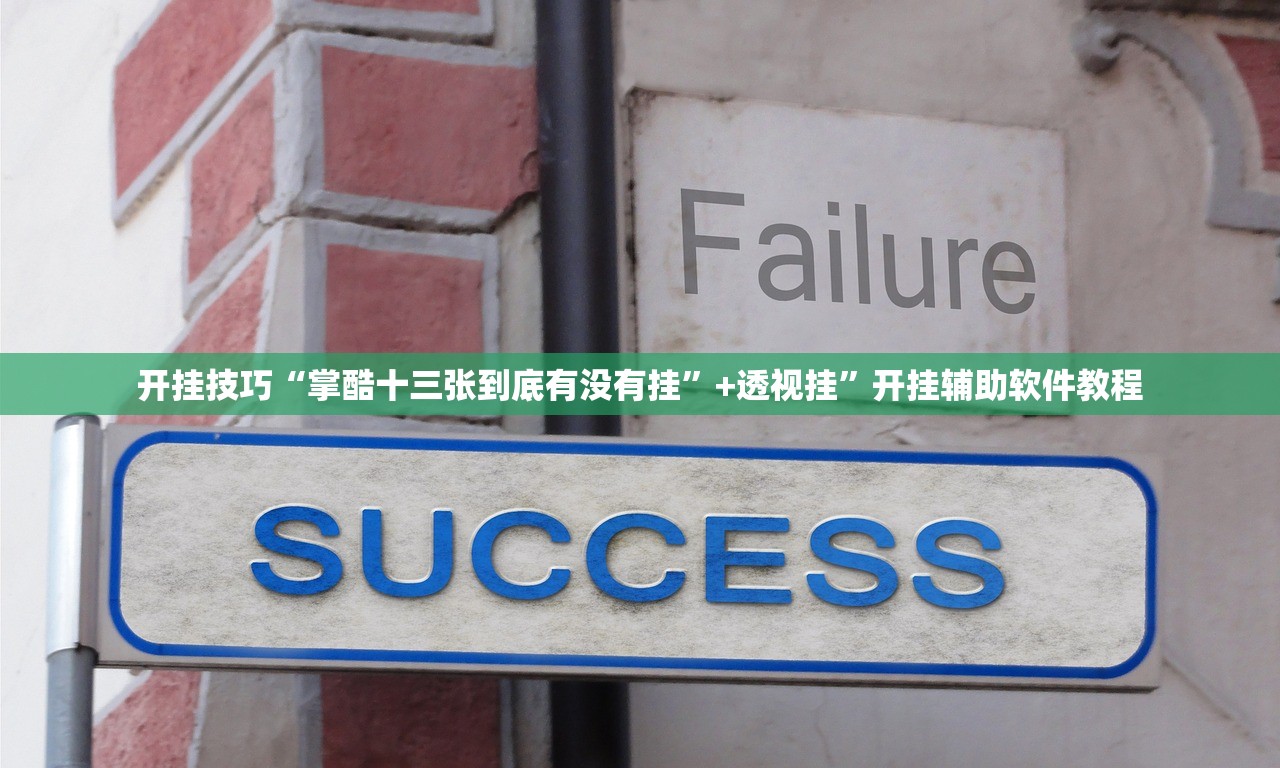 开挂技巧“掌酷十三张到底有没有挂”+透视挂	”开挂辅助软件教程