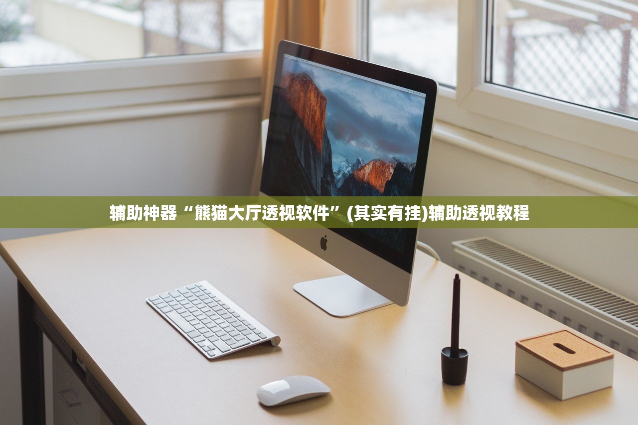 辅助神器“熊猫大厅透视软件”(其实有挂)辅助透视教程