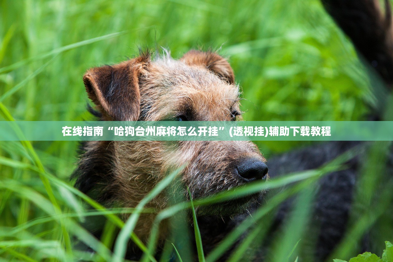 在线指南“哈狗台州麻将怎么开挂”(透视挂)辅助下载教程