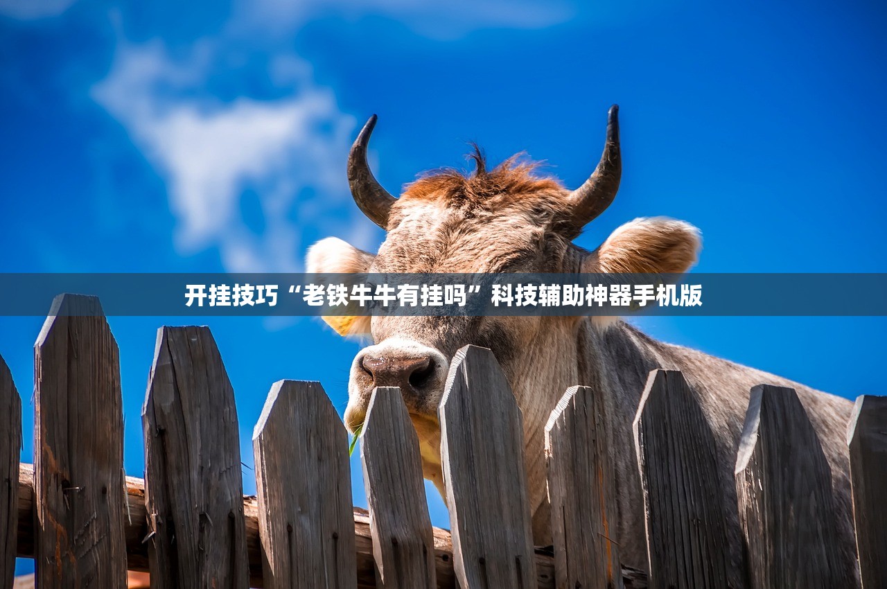 开挂技巧“老铁牛牛有挂吗”科技辅助神器手机版