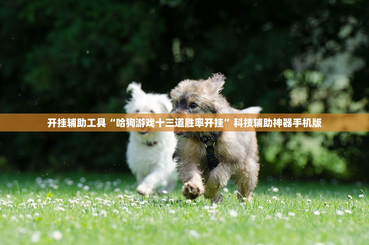 开挂辅助工具“哈狗游戏十三道胜率开挂”科技辅助神器手机版