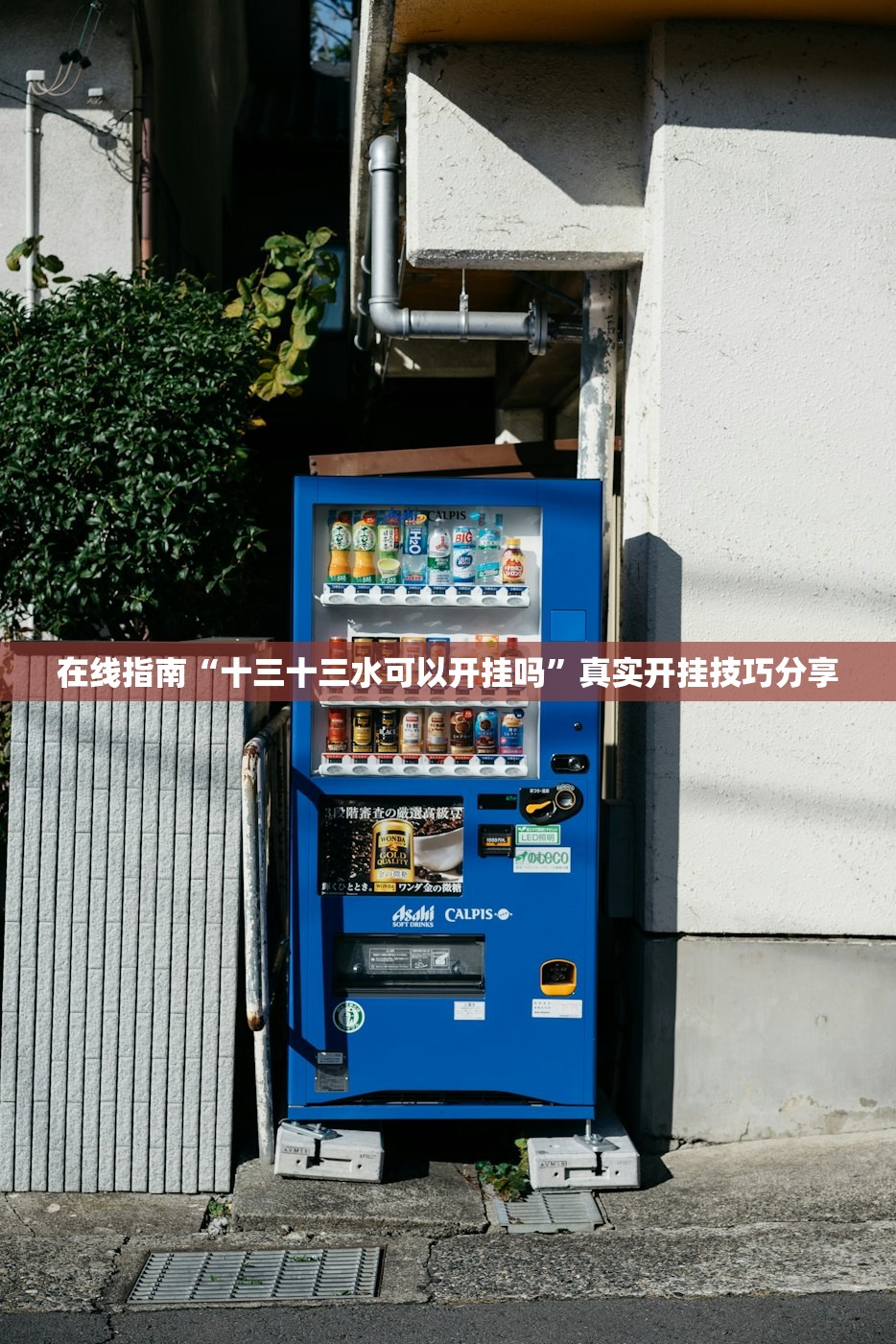 在线指南“十三十三水可以开挂吗”真实开挂技巧分享