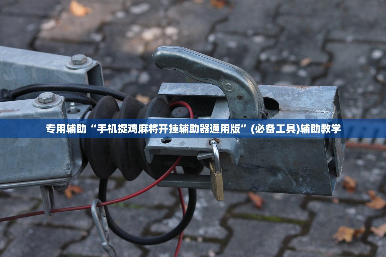 专用辅助“手机捉鸡麻将开挂辅助器通用版”(必备工具)辅助教学