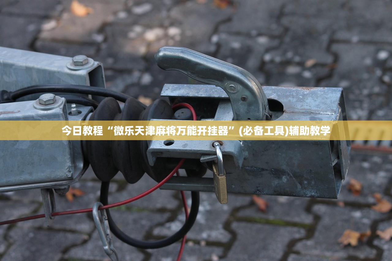 今日教程“微乐天津麻将万能开挂器”(必备工具)辅助教学