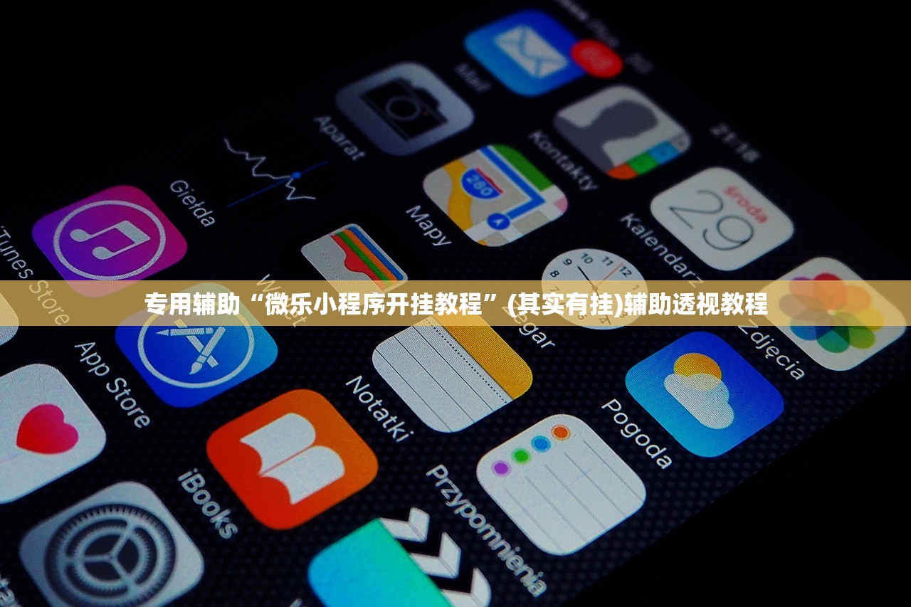 专用辅助“微乐小程序开挂教程”(其实有挂)辅助透视教程