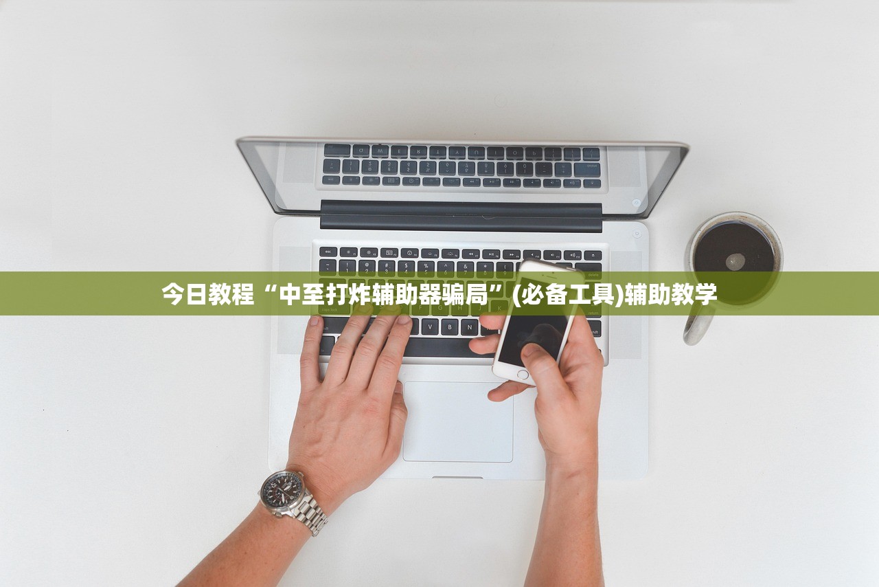今日教程“中至打炸辅助器骗局	”(必备工具)辅助教学