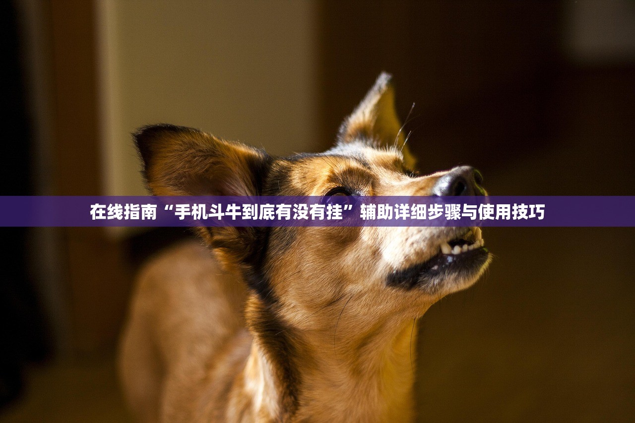 在线指南“手机斗牛到底有没有挂”辅助详细步骤与使用技巧