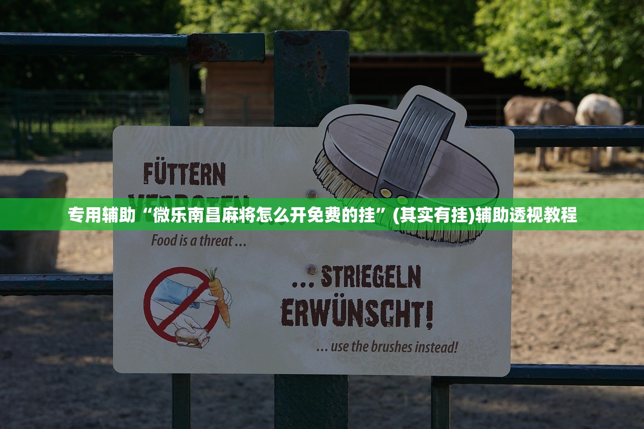 专用辅助“微乐南昌麻将怎么开免费的挂”(其实有挂)辅助透视教程
