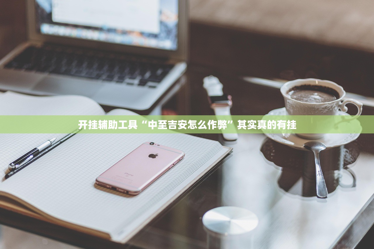 开挂辅助工具“中至吉安怎么作弊”其实真的有挂