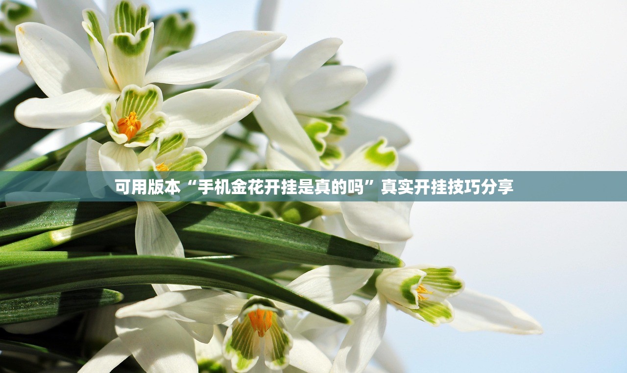 可用版本“手机金花开挂是真的吗	”真实开挂技巧分享