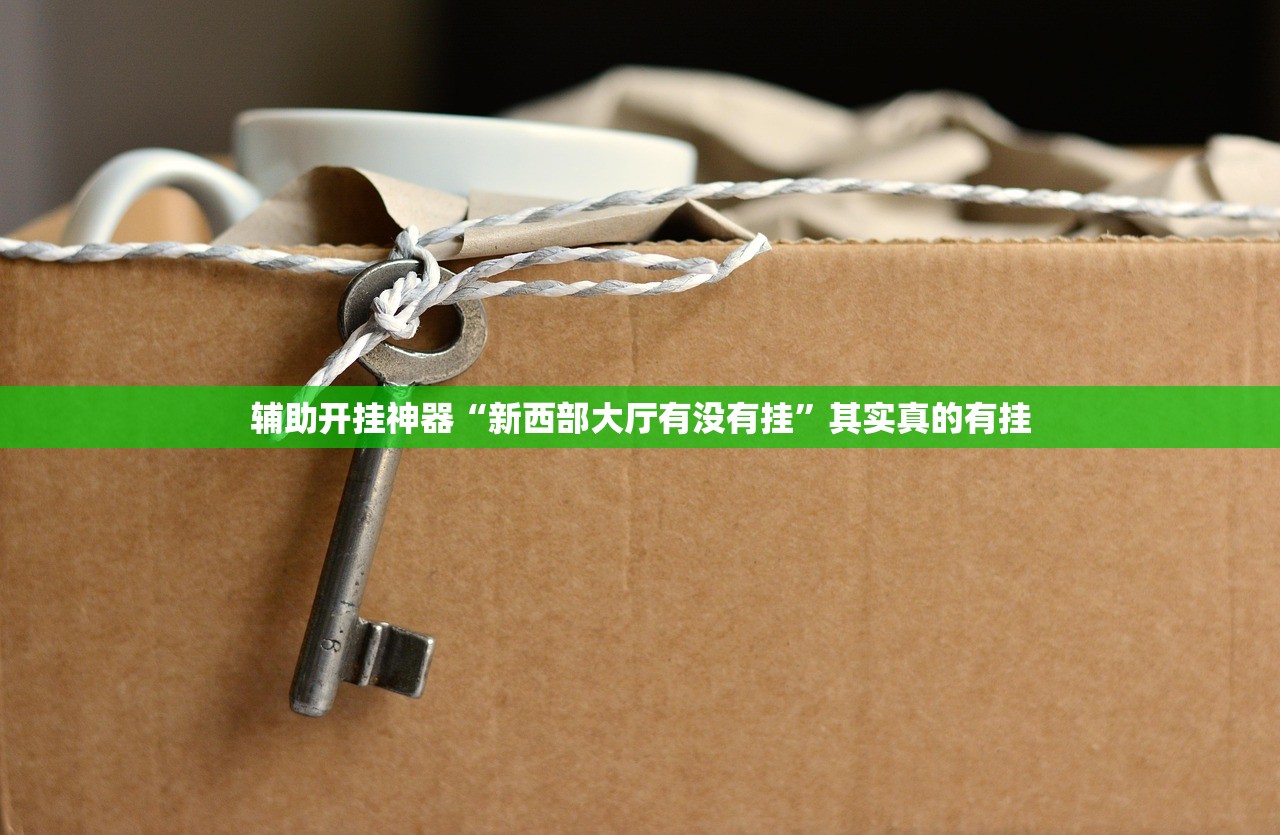 辅助开挂神器“新西部大厅有没有挂	”其实真的有挂